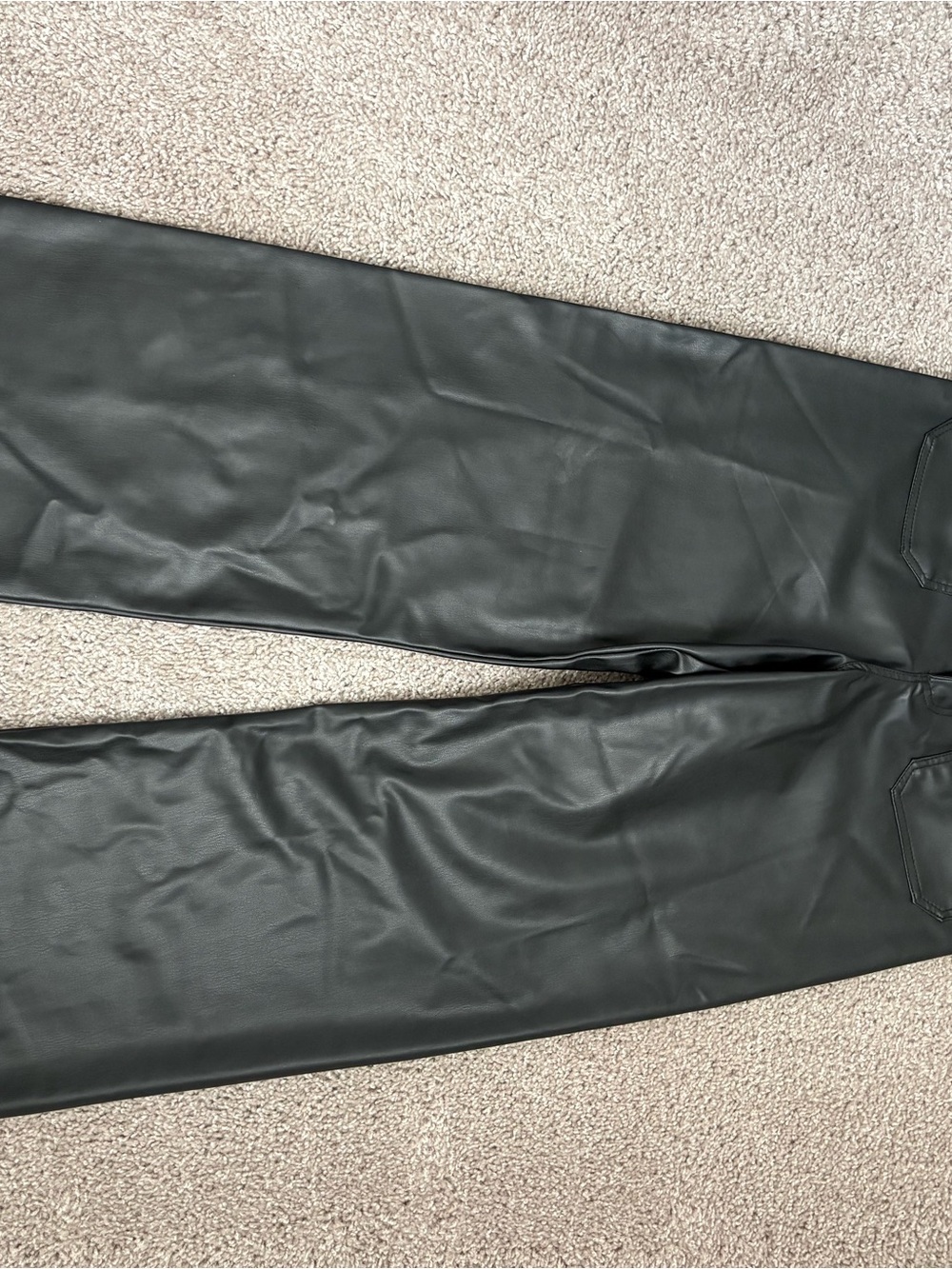 Zara Wide Leg Faux Leather Pants in Black
